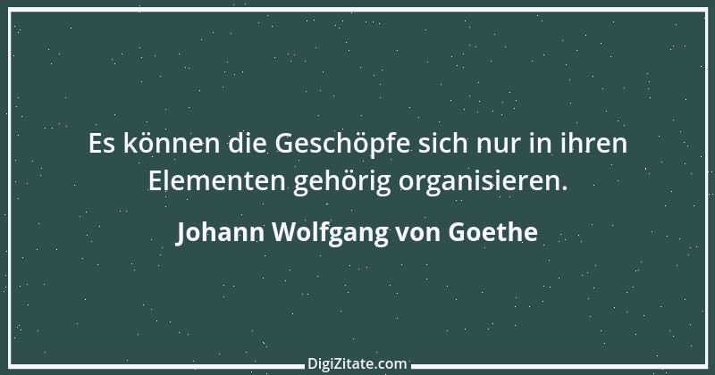 Zitat von Johann Wolfgang von Goethe 2036