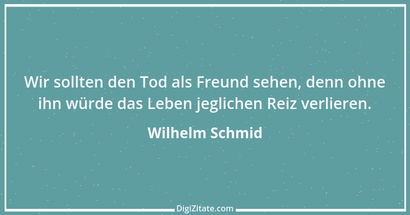 Zitat von Wilhelm Schmid 5