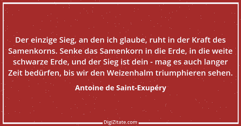 Zitat von Antoine de Saint-Exupéry 41