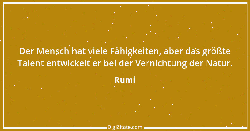 Zitat von Rumi 49