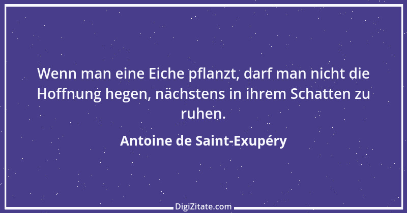 Zitat von Antoine de Saint-Exupéry 43