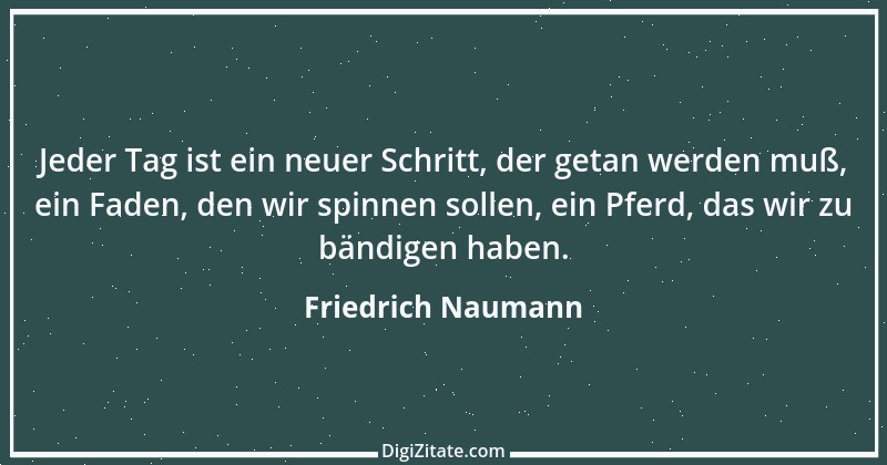 Zitat von Friedrich Naumann 6