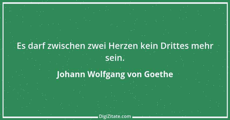 Zitat von Johann Wolfgang von Goethe 3039