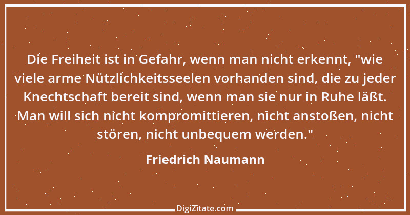 Zitat von Friedrich Naumann 8