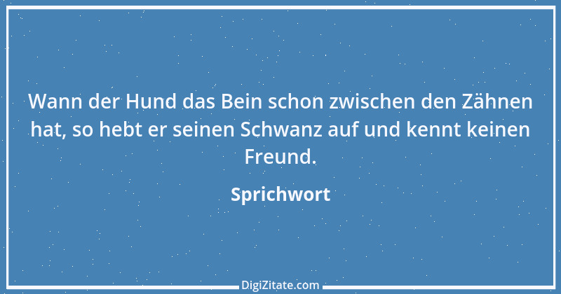 Zitat von Sprichwort 10033