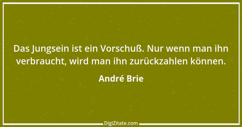 Zitat von André Brie 323