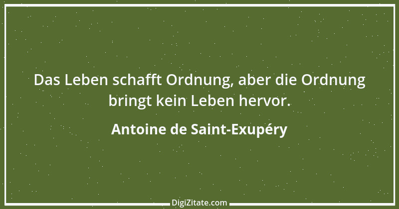 Zitat von Antoine de Saint-Exupéry 46