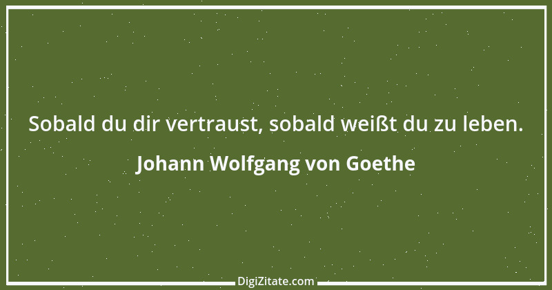 Zitat von Johann Wolfgang von Goethe 2043