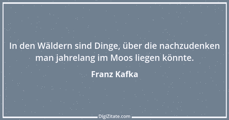 Zitat von Franz Kafka 113