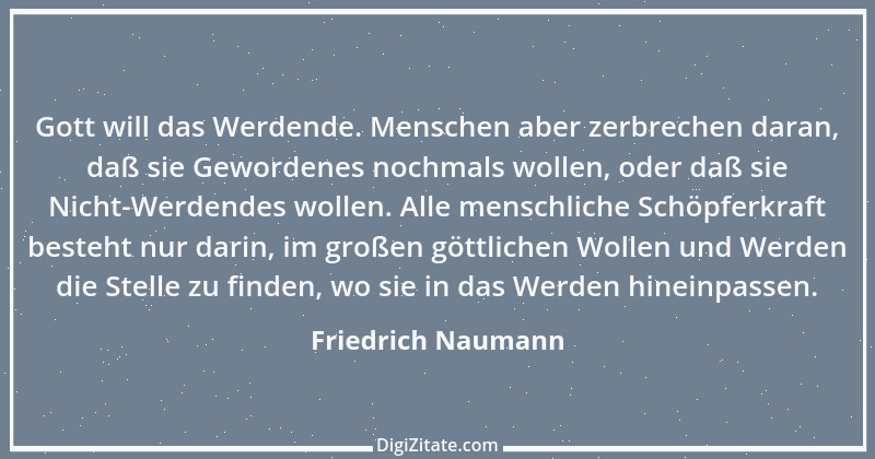 Zitat von Friedrich Naumann 13