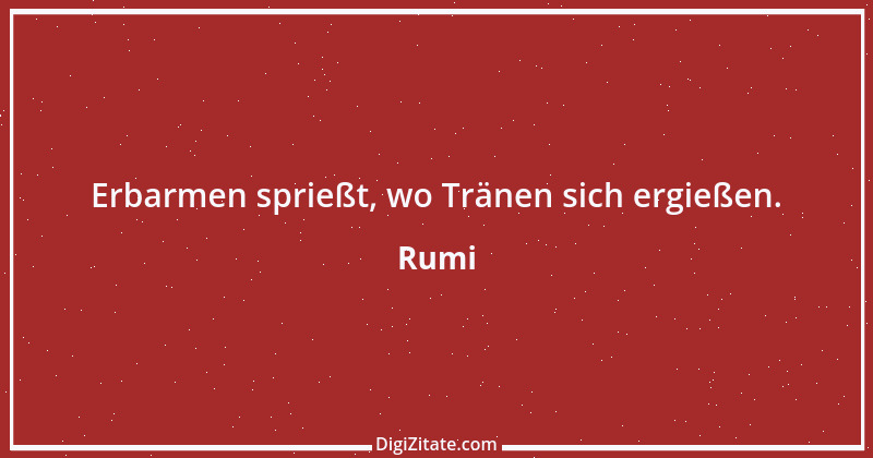 Zitat von Rumi 57