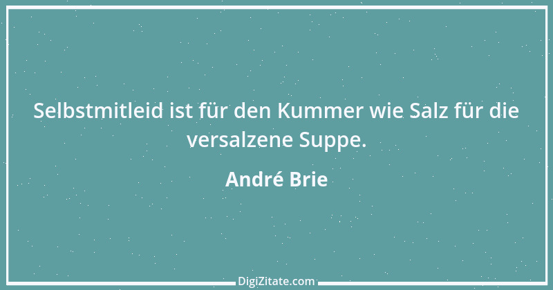 Zitat von André Brie 328