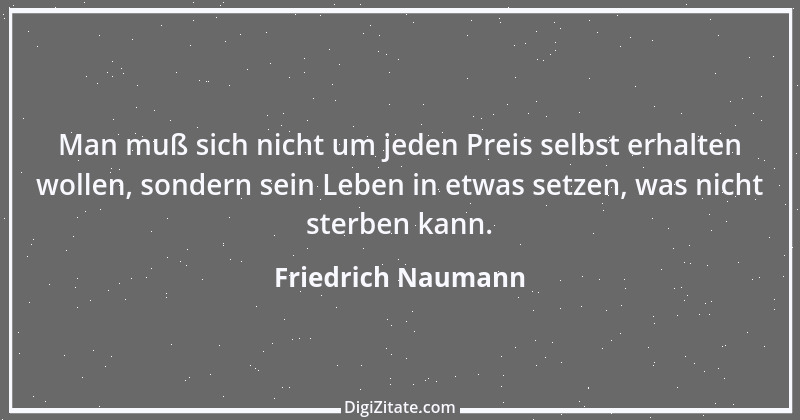 Zitat von Friedrich Naumann 14