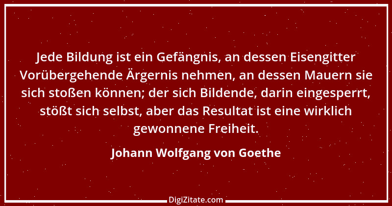 Zitat von Johann Wolfgang von Goethe 3047