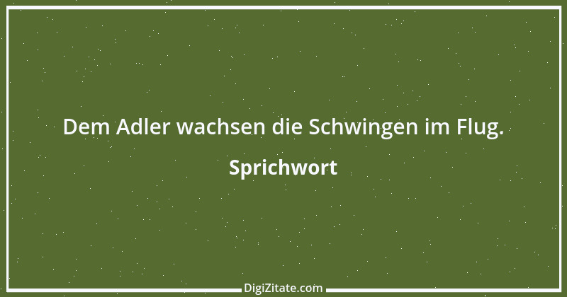 Zitat von Sprichwort 5039