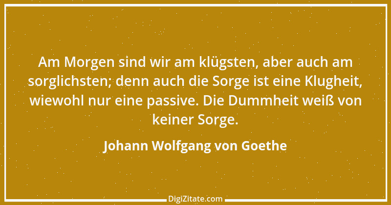 Zitat von Johann Wolfgang von Goethe 1048