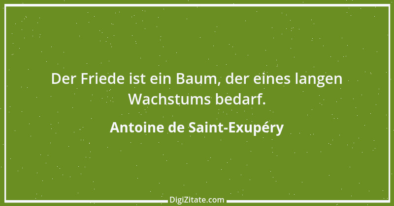 Zitat von Antoine de Saint-Exupéry 53