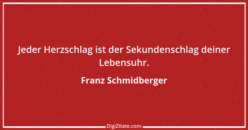 Zitat von Franz Schmidberger 6