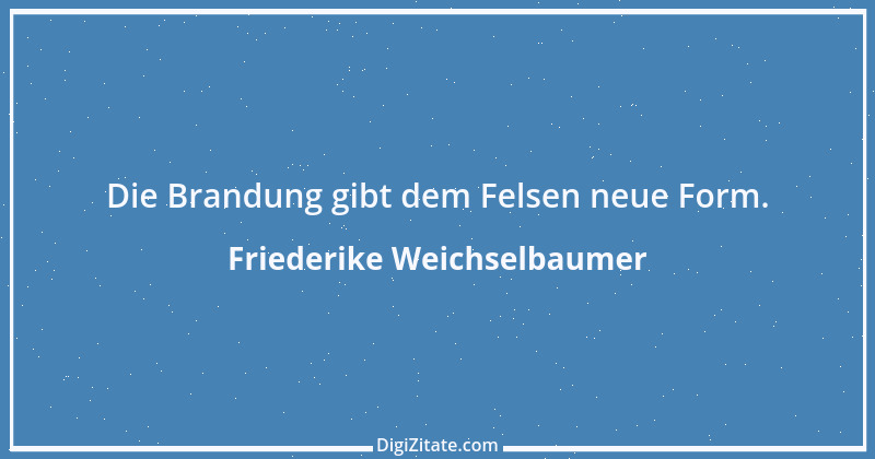 Zitat von Friederike Weichselbaumer 19