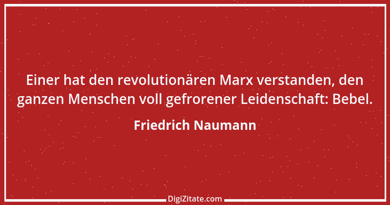 Zitat von Friedrich Naumann 17