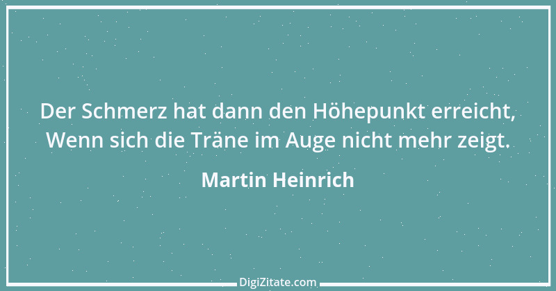 Zitat von Martin Heinrich 201