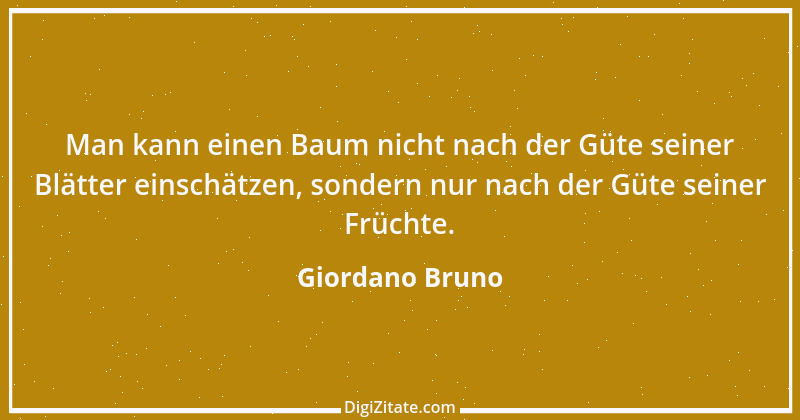 Zitat von Giordano Bruno 14