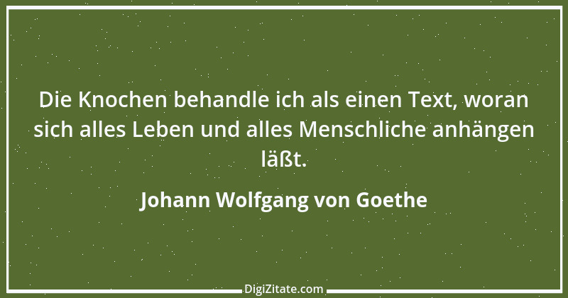 Zitat von Johann Wolfgang von Goethe 2051