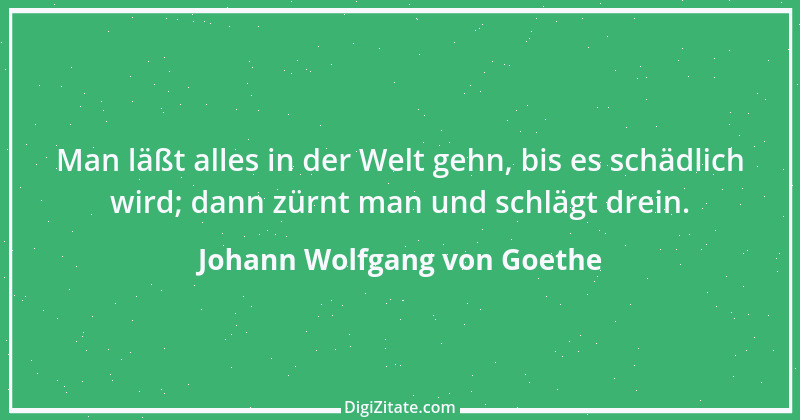 Zitat von Johann Wolfgang von Goethe 3051