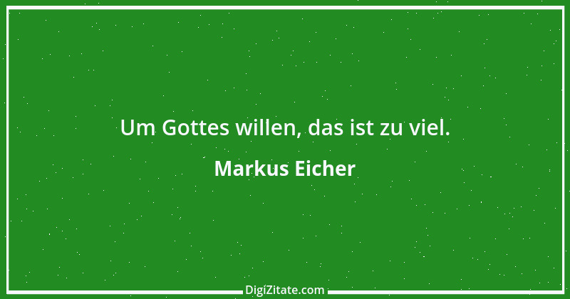 Zitat von Markus Eicher 1