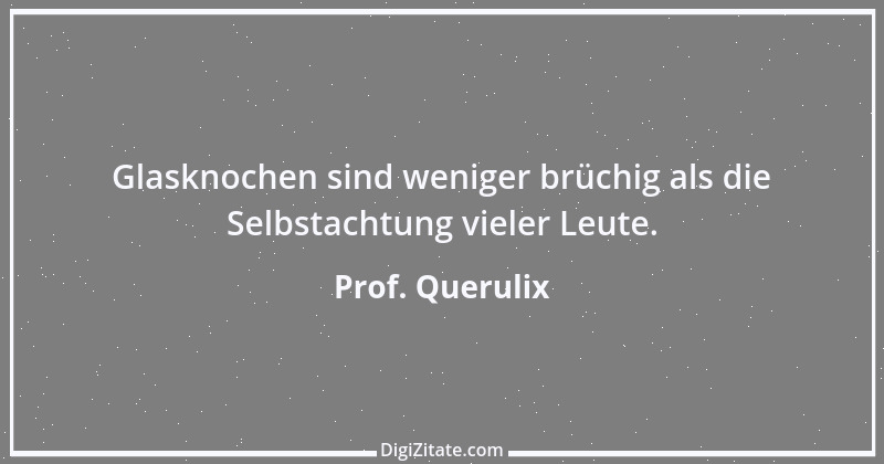 Zitat von Prof. Querulix 343