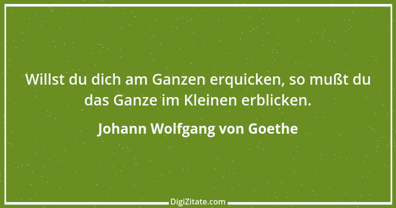 Zitat von Johann Wolfgang von Goethe 3052