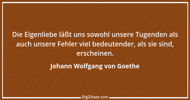 Zitat von Johann Wolfgang von Goethe 2053