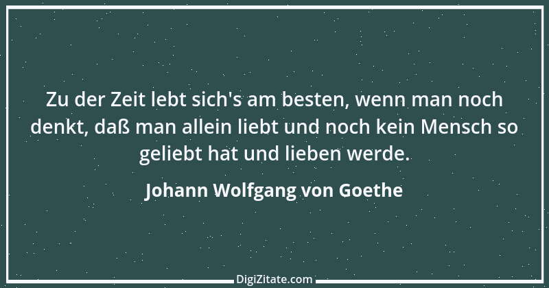 Zitat von Johann Wolfgang von Goethe 3053