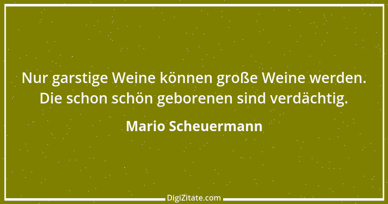 Zitat von Mario Scheuermann 1