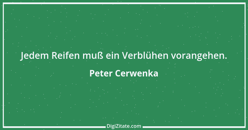 Zitat von Peter Cerwenka 29