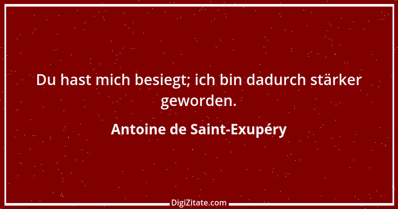 Zitat von Antoine de Saint-Exupéry 59