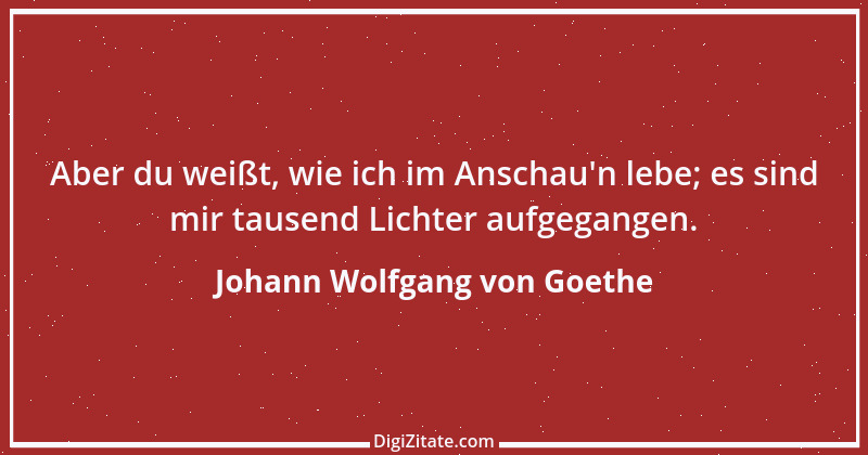 Zitat von Johann Wolfgang von Goethe 55