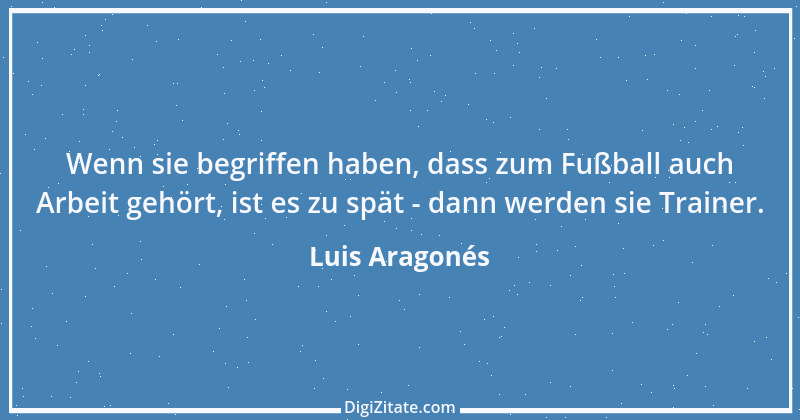 Zitat von Luis Aragonés 4