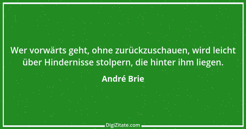 Zitat von André Brie 40