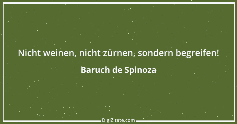 Zitat von Baruch de Spinoza 128