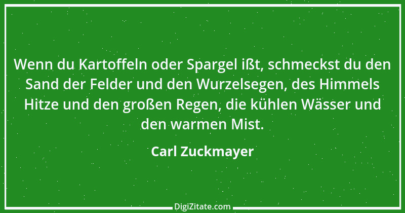 Zitat von Carl Zuckmayer 41