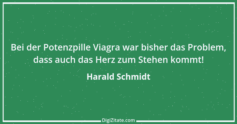 Zitat von Harald Schmidt 375