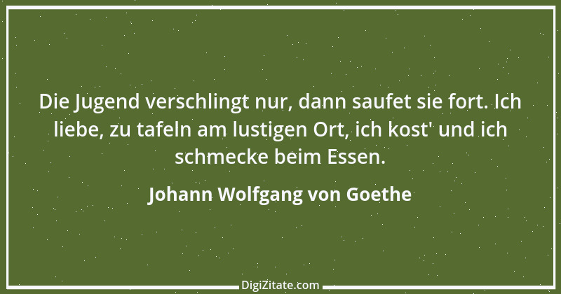 Zitat von Johann Wolfgang von Goethe 4058