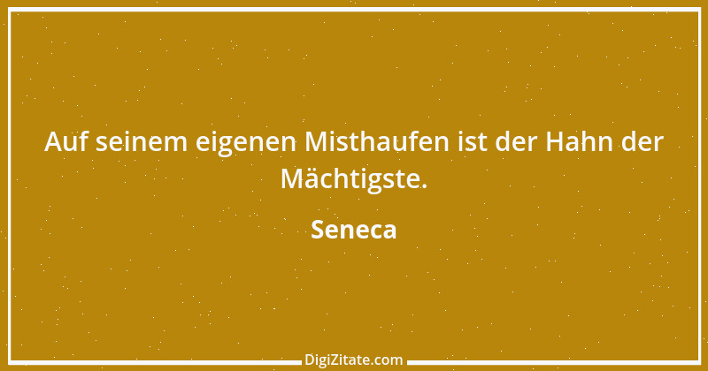 Zitat von Seneca 194