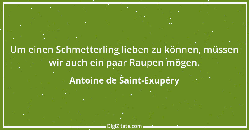 Zitat von Antoine de Saint-Exupéry 63