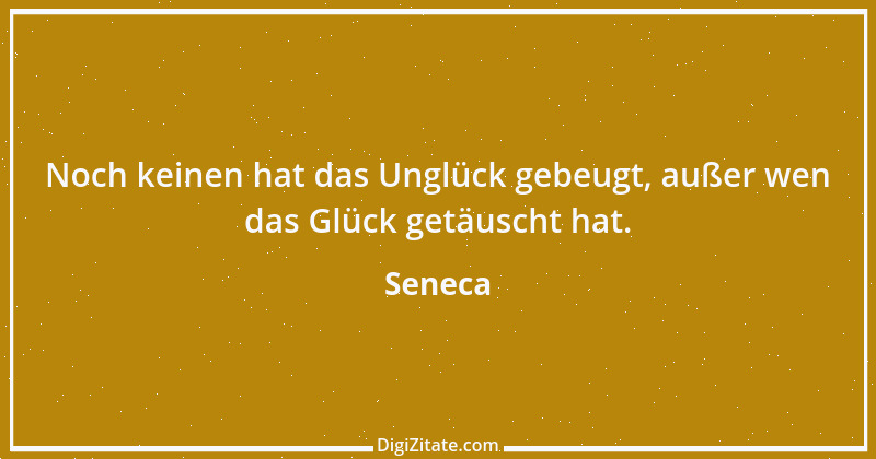 Zitat von Seneca 195