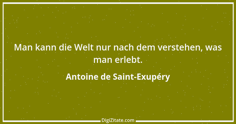 Zitat von Antoine de Saint-Exupéry 64