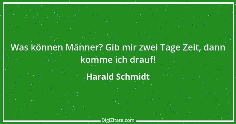 Zitat von Harald Schmidt 378