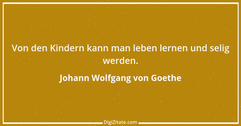 Zitat von Johann Wolfgang von Goethe 60