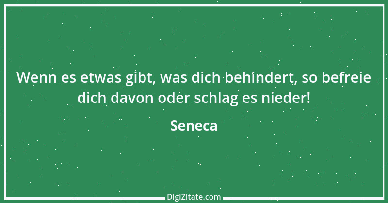 Zitat von Seneca 196